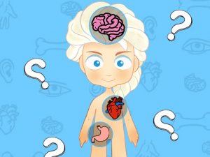 Human Body Discovery Game
