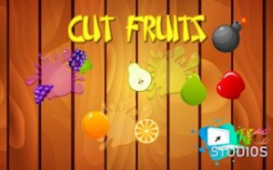 Fruit Slice Arcade Challenge