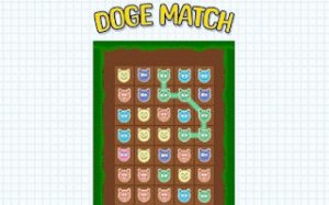 Paw Pair Puzzle Challenge