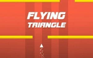Triangle Flight Arcade