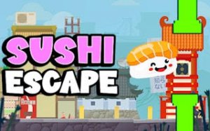 Sushi Flight Runner Arcade