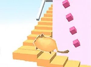 Spiral Staircase Pet Adventure